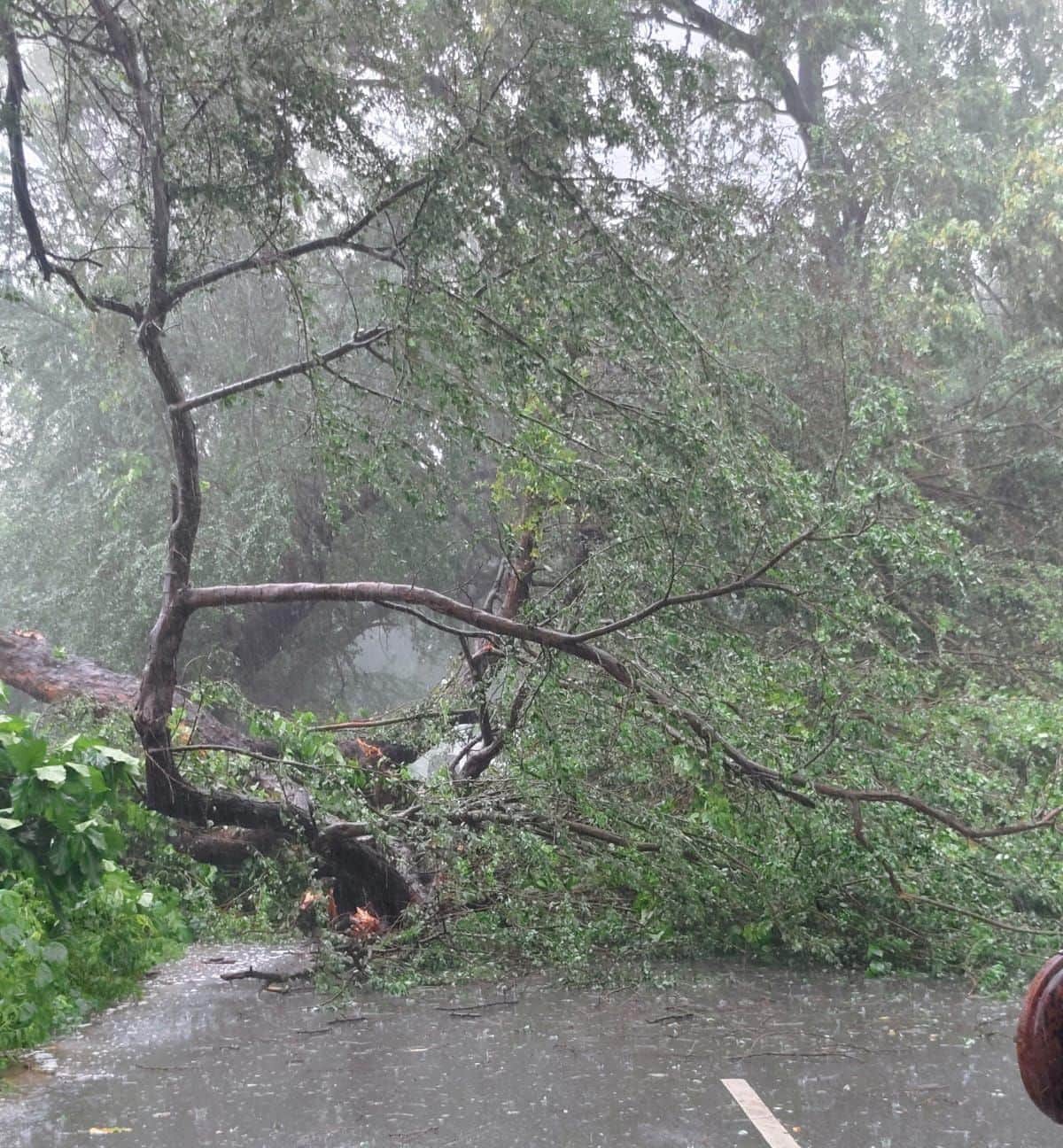 Relief in Katra from heavy rain