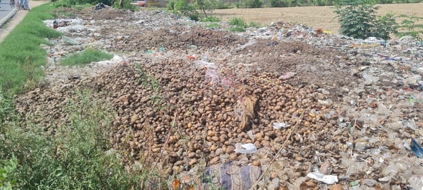 Farrukhabad News: लागत से भी कम दाम पर बेचना पड़ रहा आलू