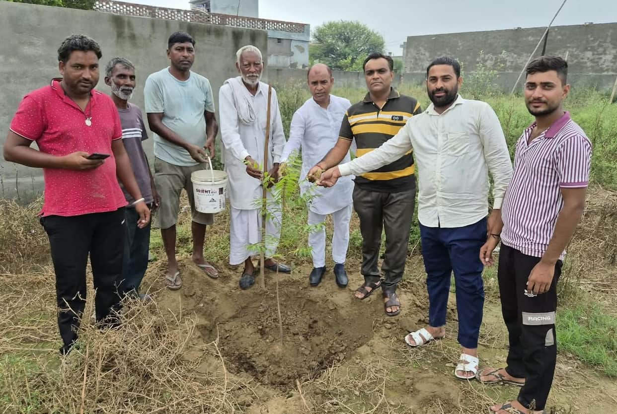 Plants and trees are the basis of life: Ramesh Rana