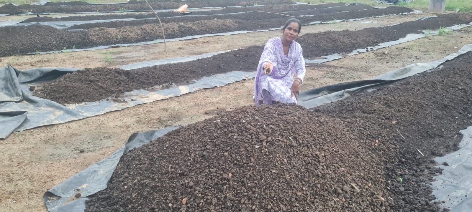 फोटो-14 जैविक खाद तैयार करते समय आस्ट्रेलियन केंचुआ दिखातीं पिंकी राजपूत। संवाद