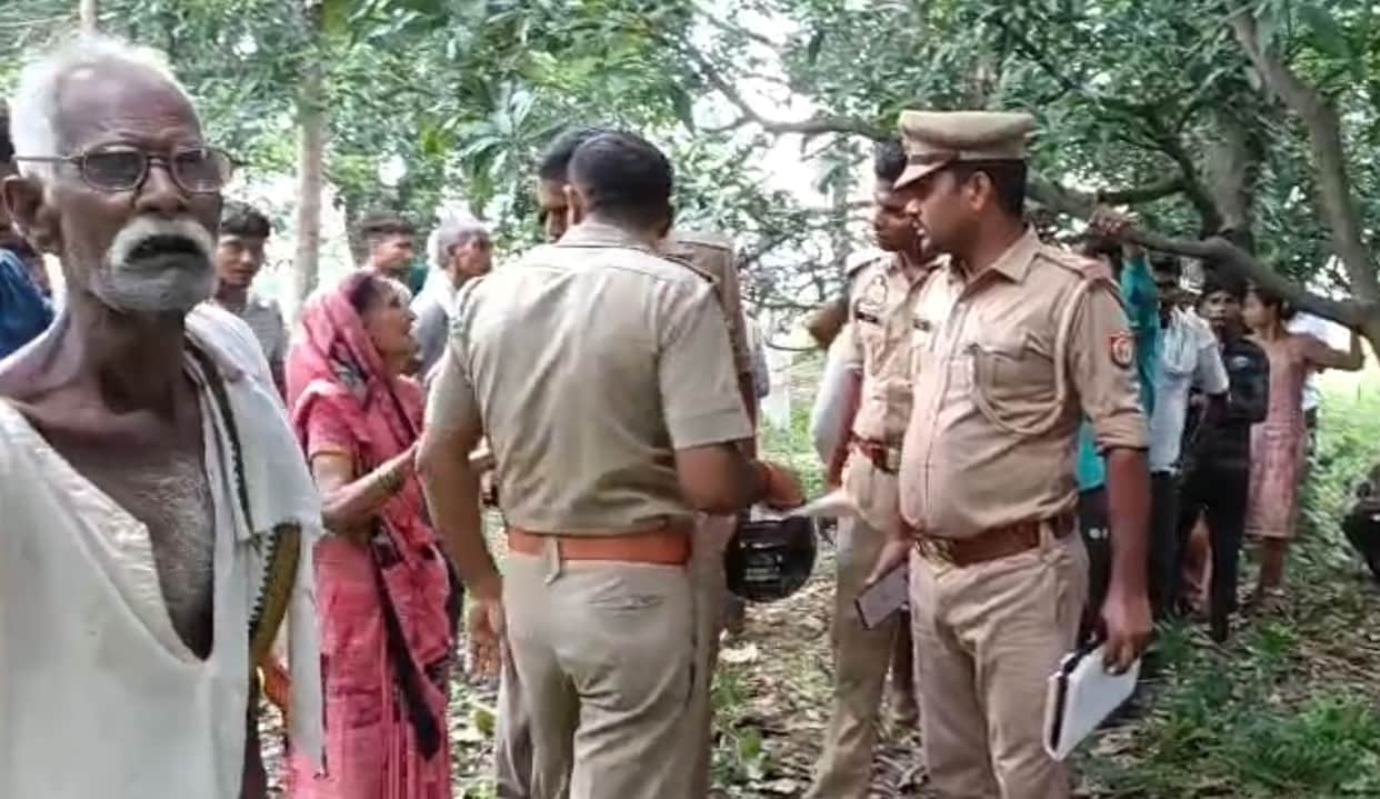 Body of timber contractor found hanging from a tree