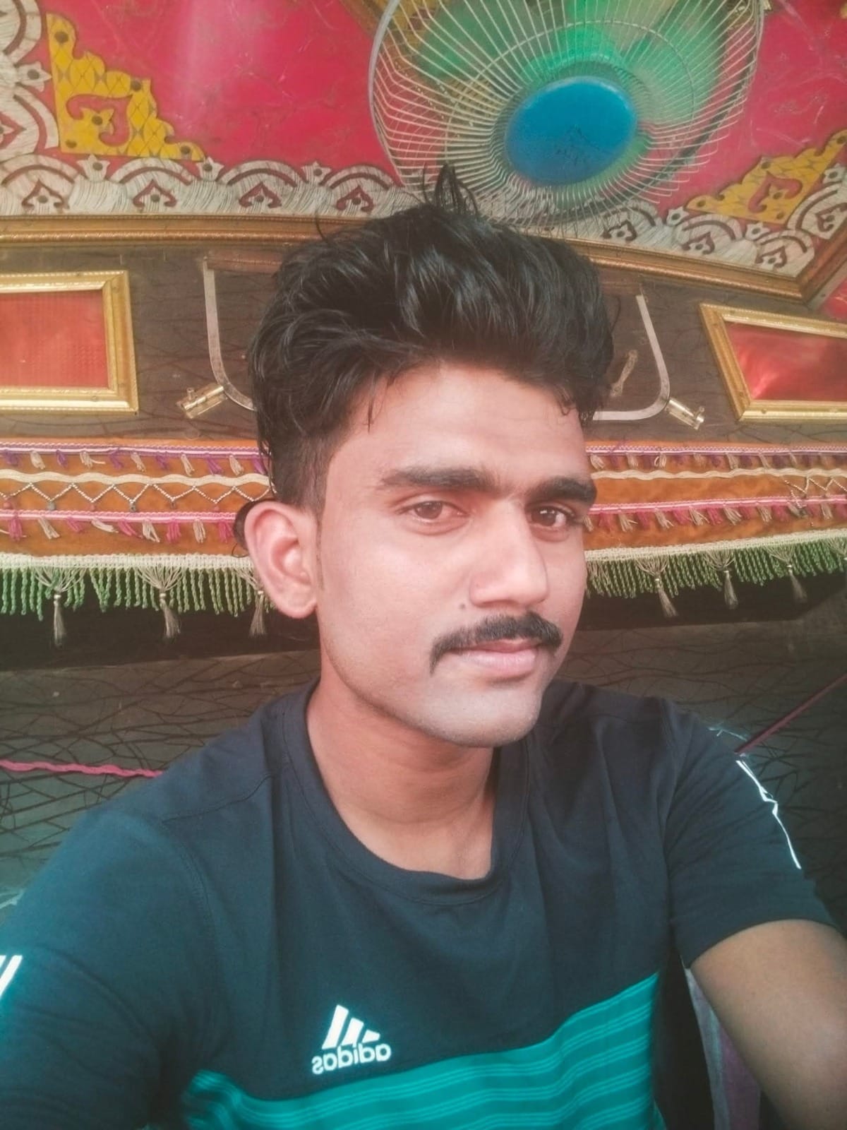 Helper accompanying a 'Dak Kanwar' struck by vehicle after stepping onto roadside; dies.