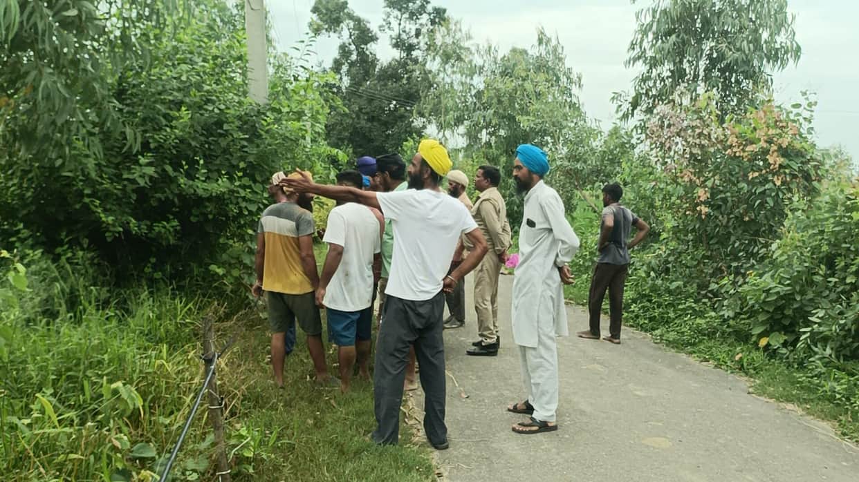 Leopard kills calf in Jagatpur village; panic prevails.