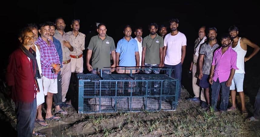जसराना के गांव नगला रामा में निकले मगरमच्छ को पिजरे में बंद करने के बाद मौजूद अधिकारी एवं ग्रा
