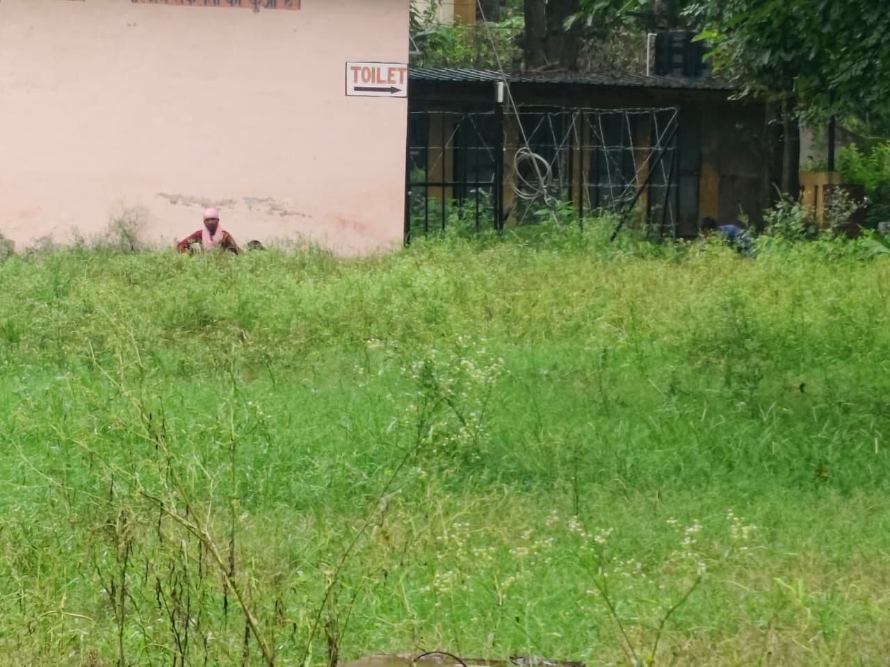 कन्या पाठशाला बिलासपुर में शुरू हुई घास की कटाई। संवाद