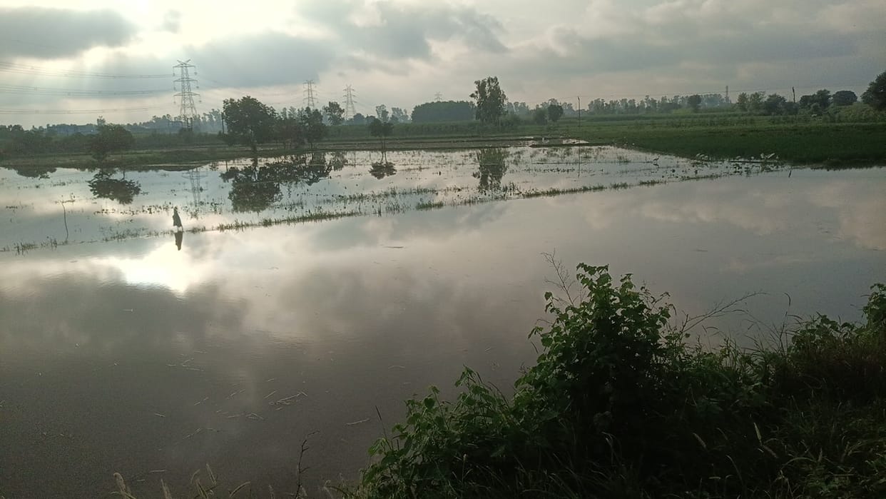 Mamaur Lake overflowed and breached; crops inundated.