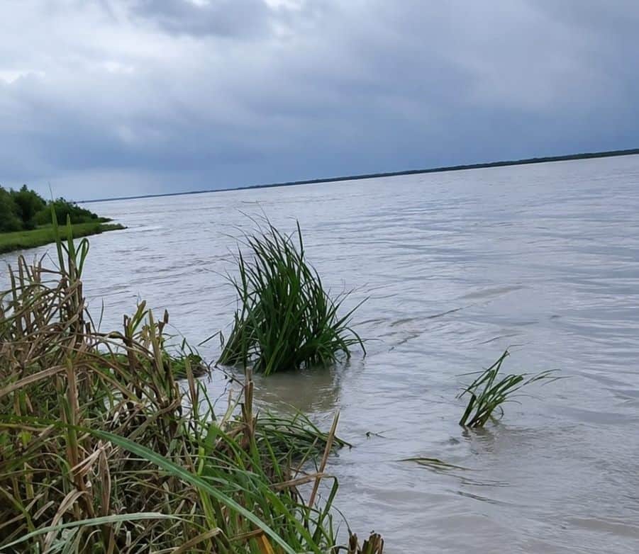 Saryu rising by one centimeter every hour