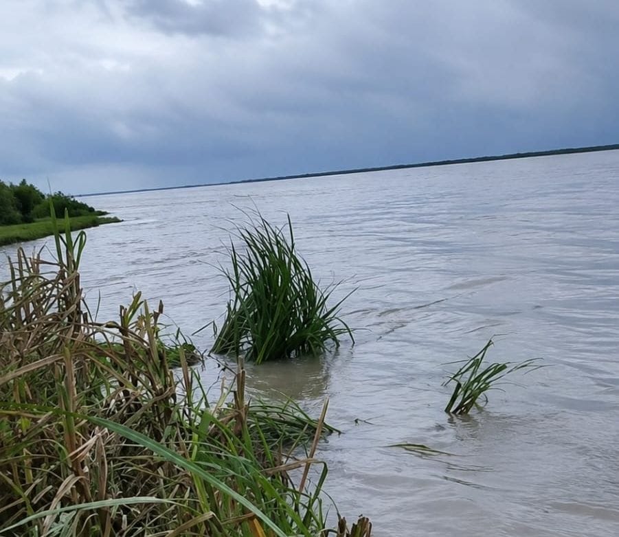 Saryu rising by one centimeter every hour