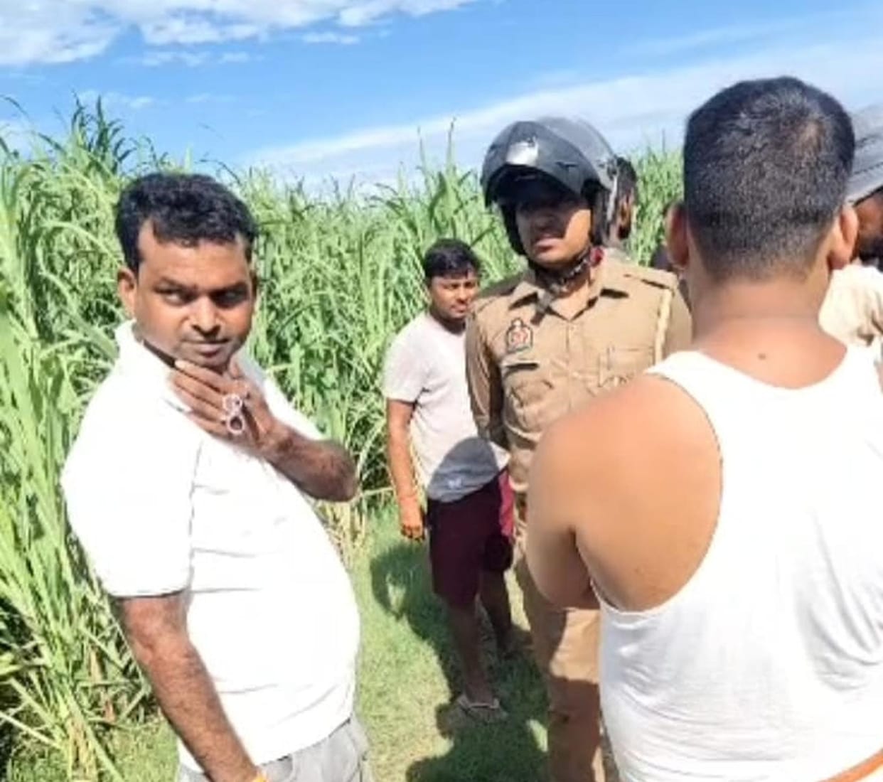 Cattle remains found in sugarcane field; villagers outraged.