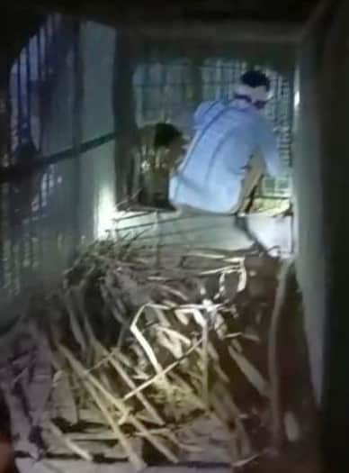 Cage set up in Ratauli Deeh in search of a wild animal.
