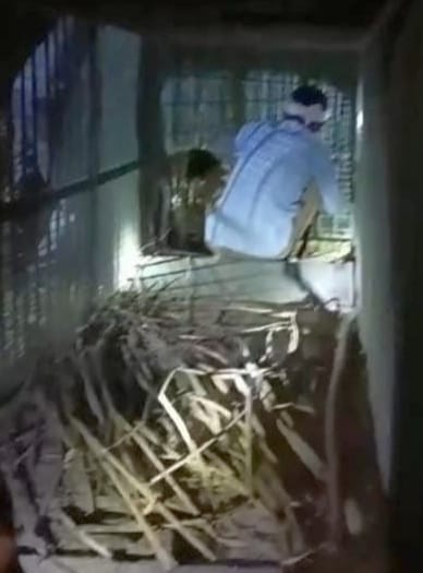 Cage set up in Ratauli Deeh in search of a wild animal.