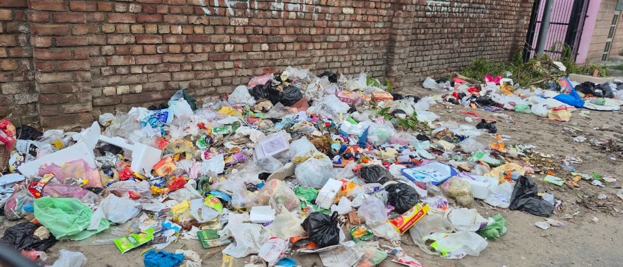 शहर के कमला भवन के समीप सड़क किनारे पड़ा कचरा।
