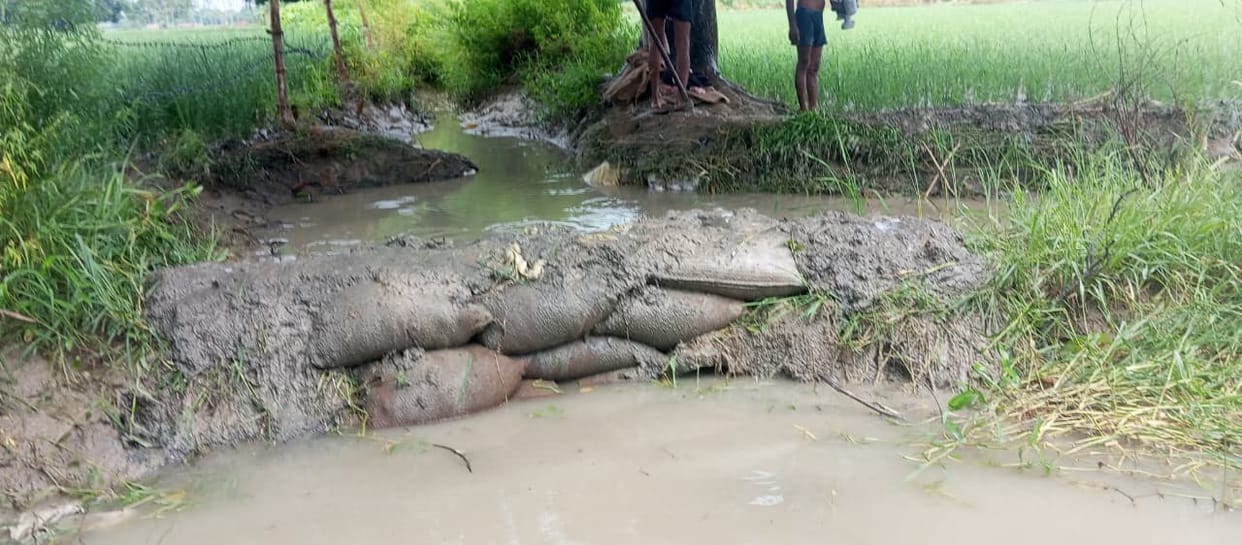 The road became waterlogged due to a breach in the minor canal.