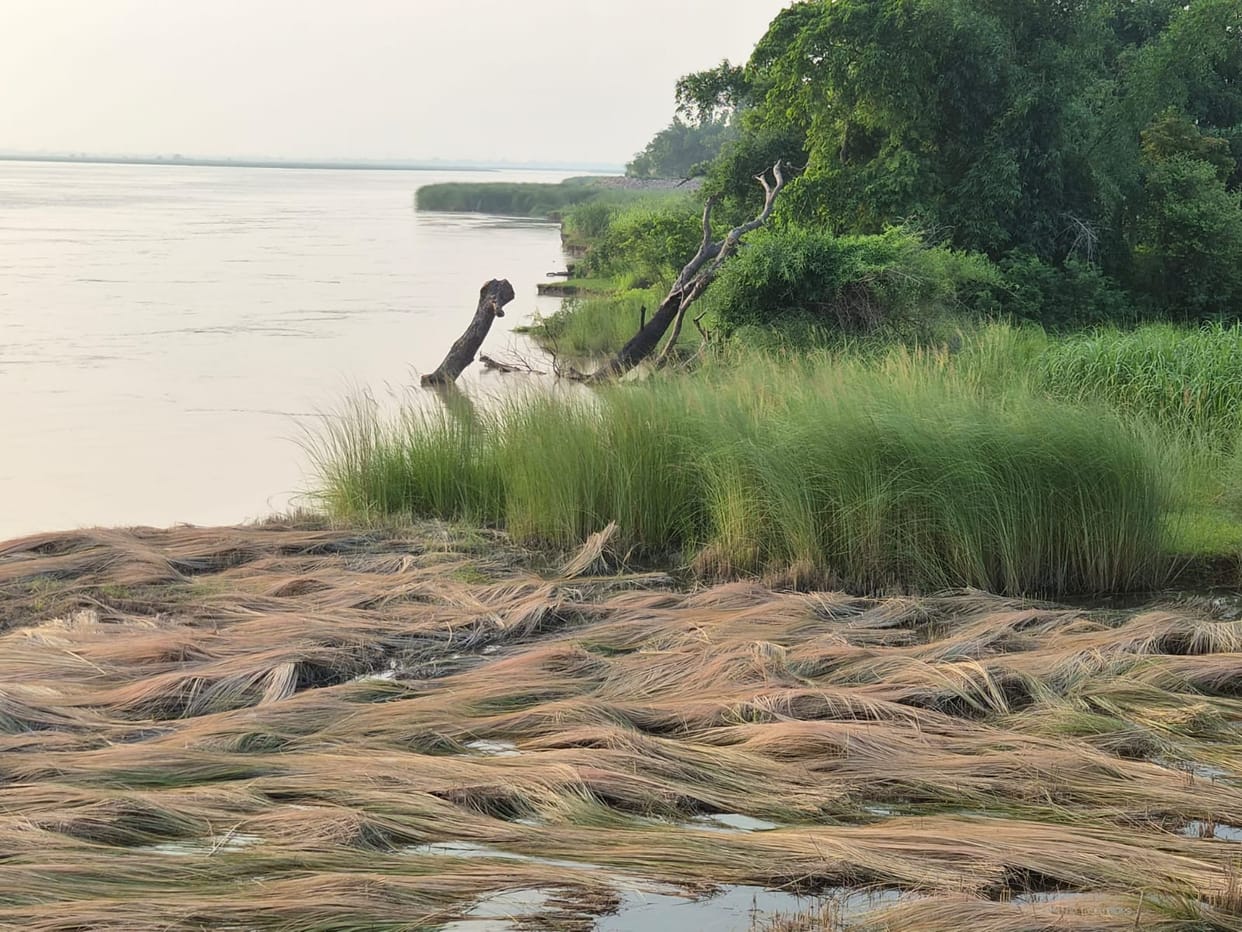 Saryu's water level decreased, erosion increased the villagers' worries, difficulties did not decrease.