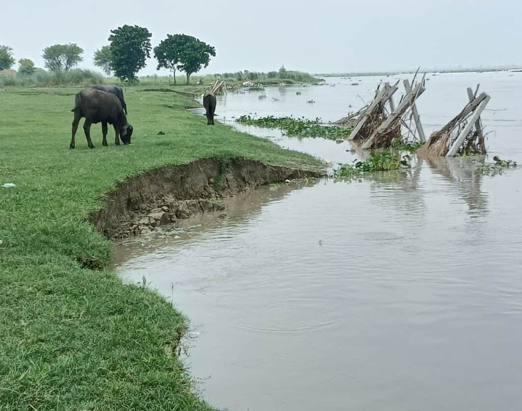 Erosion begins as the Saryu River's water level recedes; farmers' concerns mount.