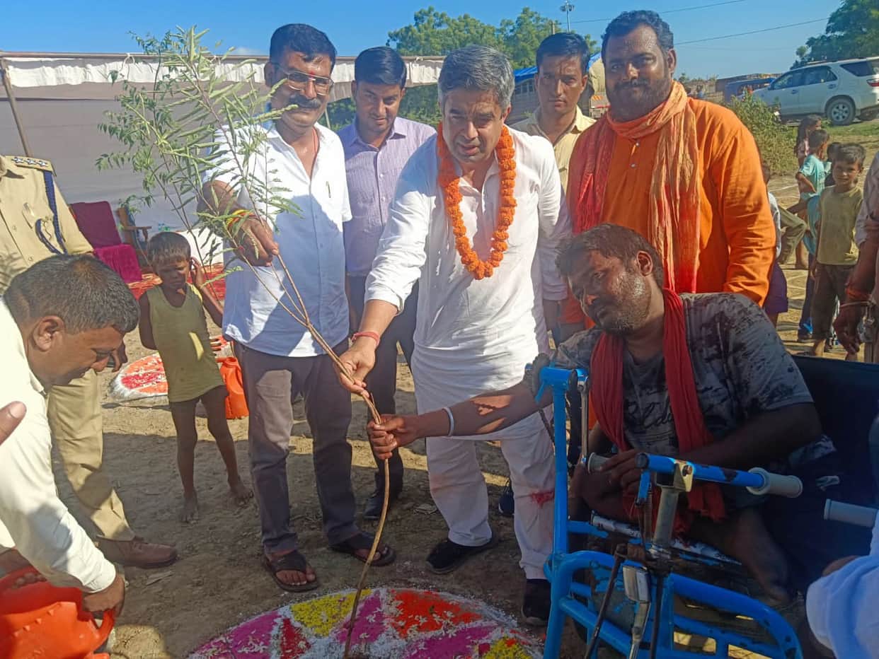 MLC planted saplings.
