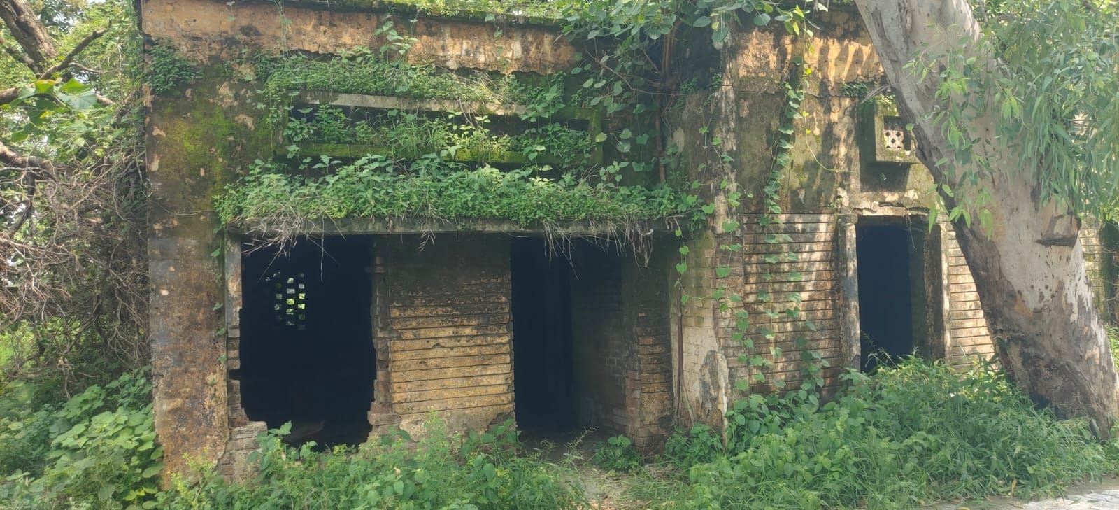बदहाल पड़े राजकीय पशु चिकित्सालय। संवाद
