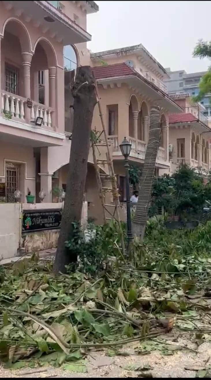 Dispute over tree pruning at Amrapali Leisure Valley Society