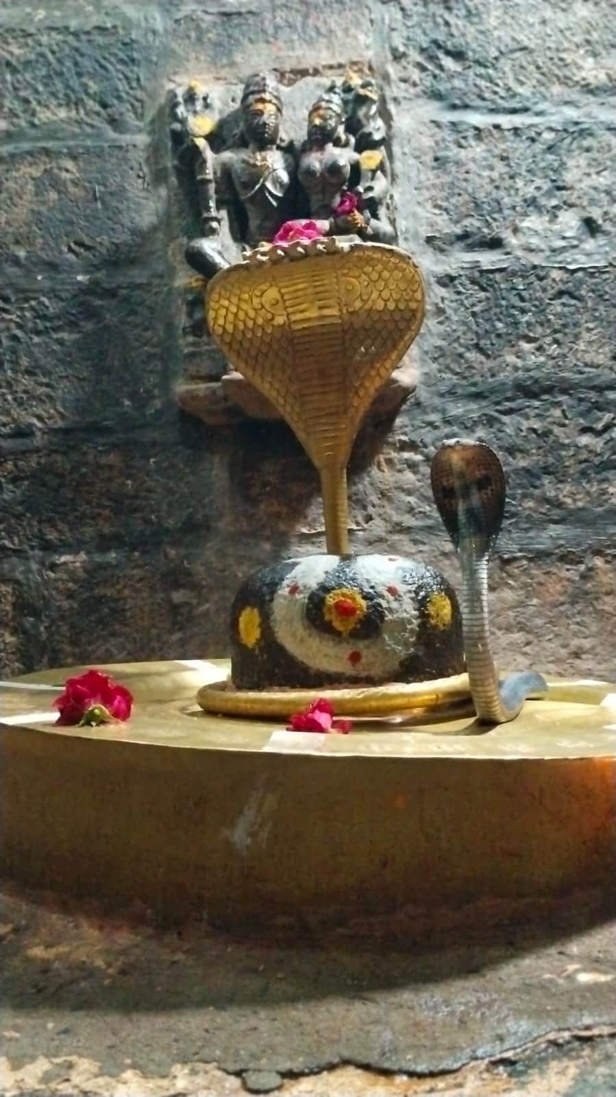 Ujjain Sravana Miracle: Sheshnag Form Manifests on Kusumeshwar Mahadev Shivling
