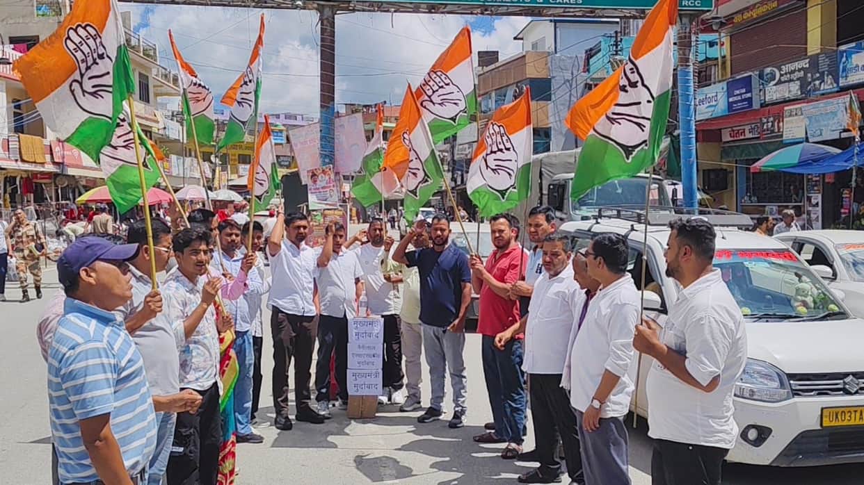 Congress members burned an effigy of the government.