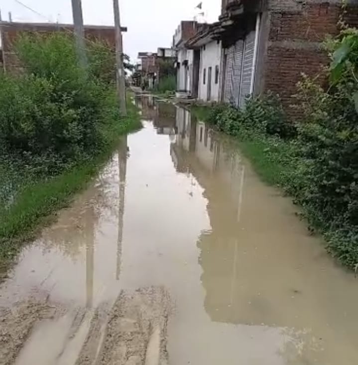 Villagers distressed by waterlogging; complaint lodged on Chief Minister's portal