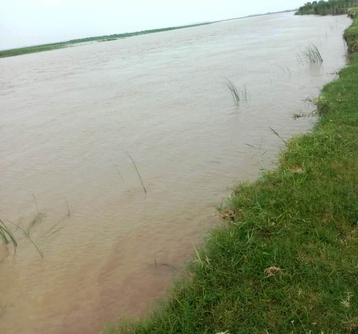 Erosion intensifies as water level drops; one *bigha* of land swallowed by the Ghaghara River.