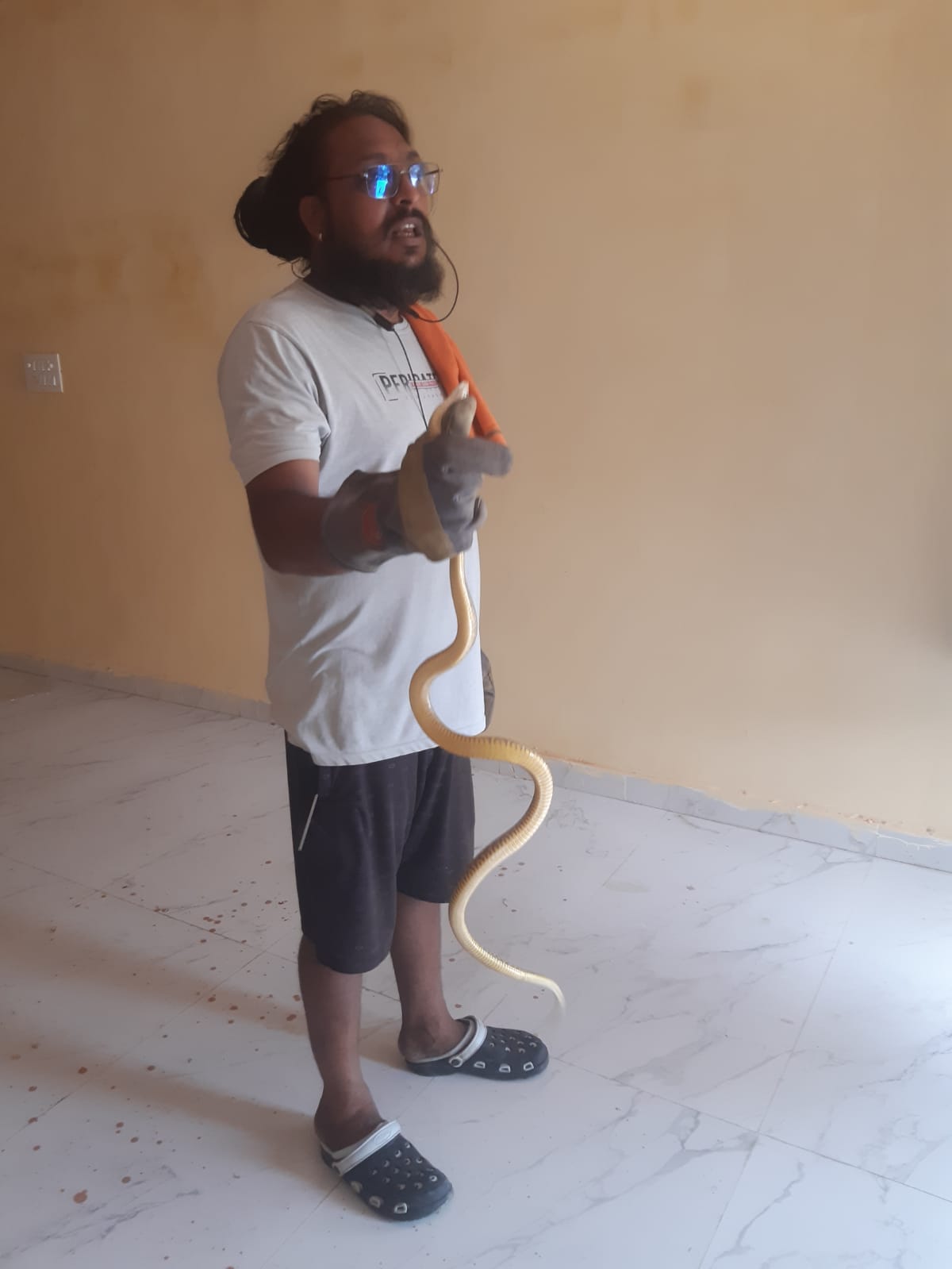 Panic ensued after a snake was spotted in the Gram Panchayat office.