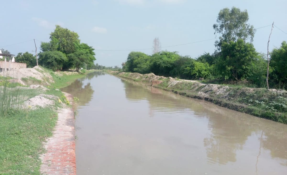 Pratapgarh News: नहरों में पानी...खेतों में हरियाली