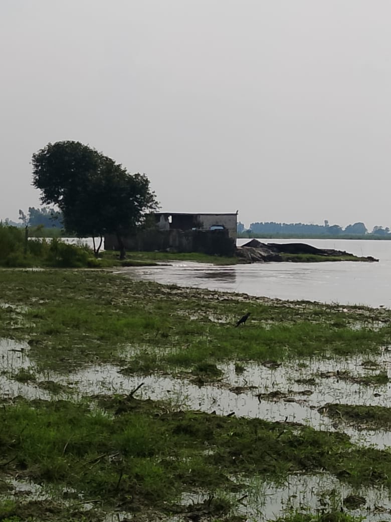 फोटो- कदमनगला गांव की तरफ बढ़ रहा गंगा नदी का जलस्तर। संवाद