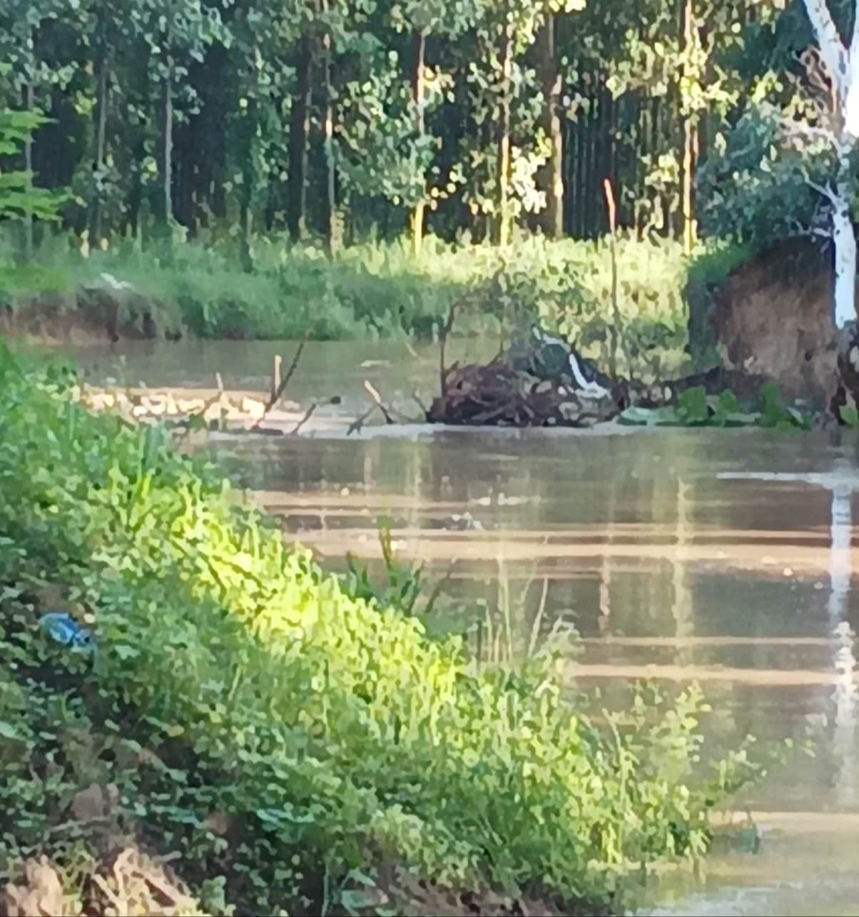 Water from the Chetang River is rapidly advancing towards the fields due to erosion