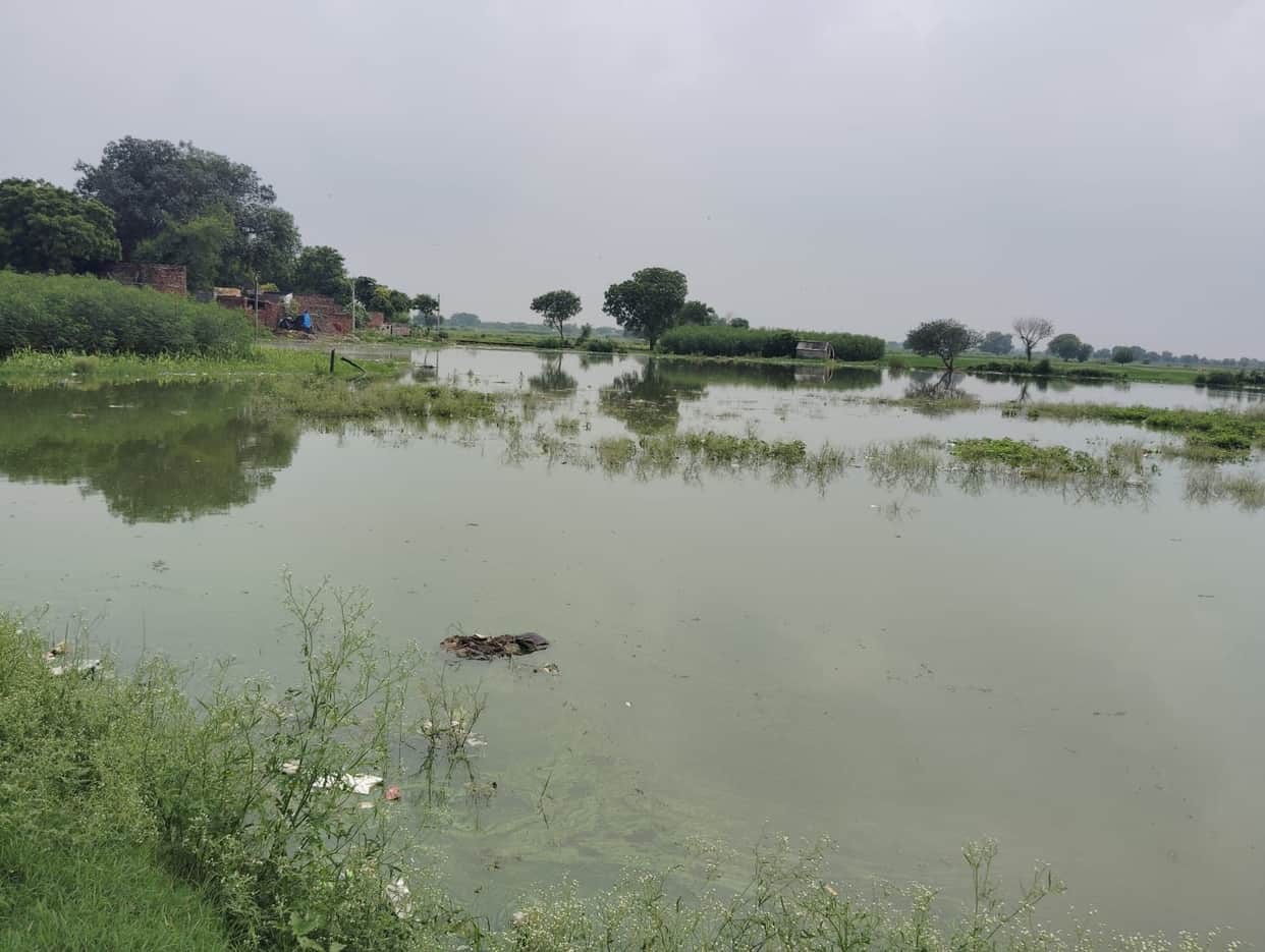 Canal bank breach causes pond to overflow; crops submerged.