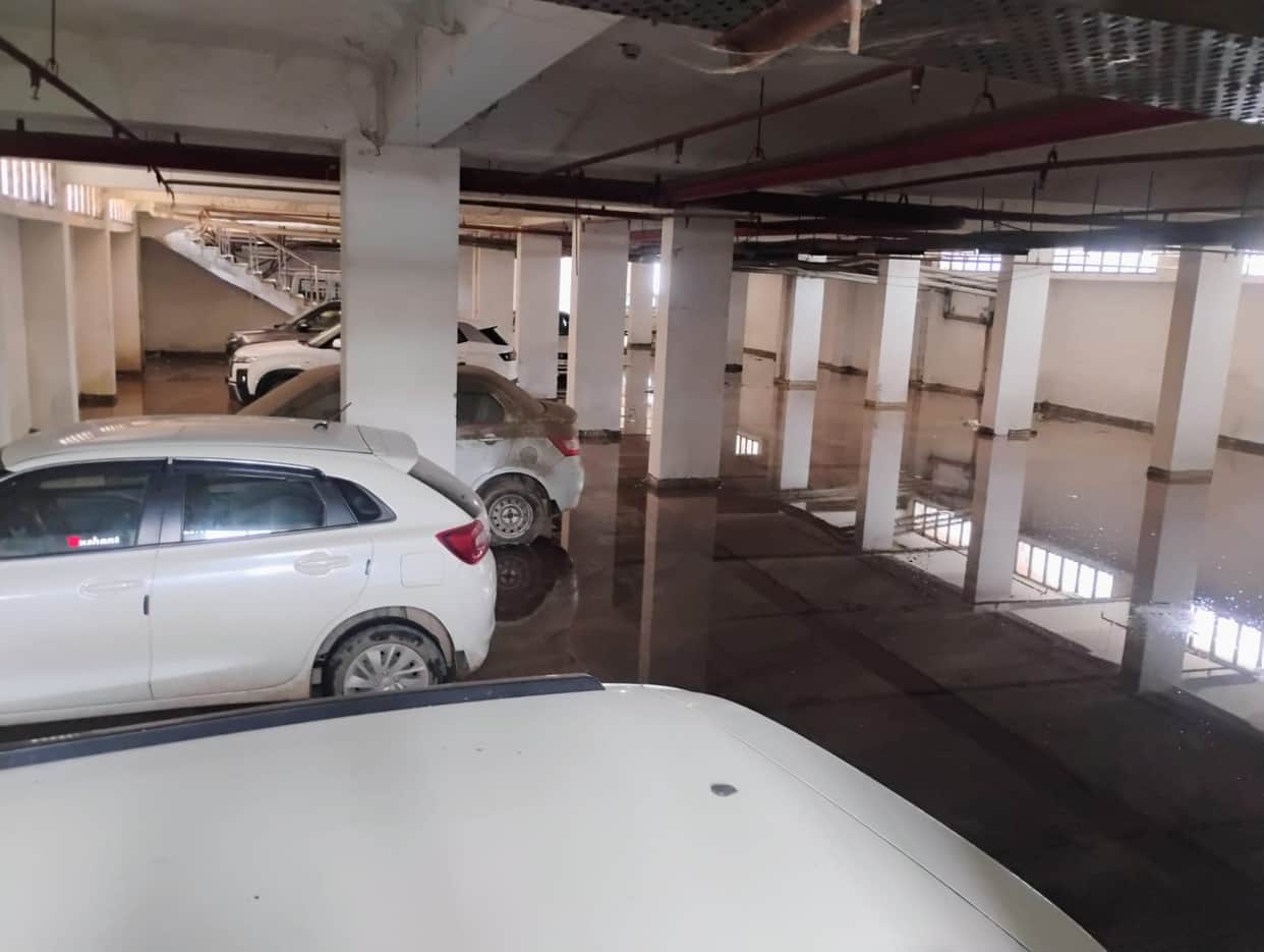 Waterlogged Mini-Secretariat questions the system.