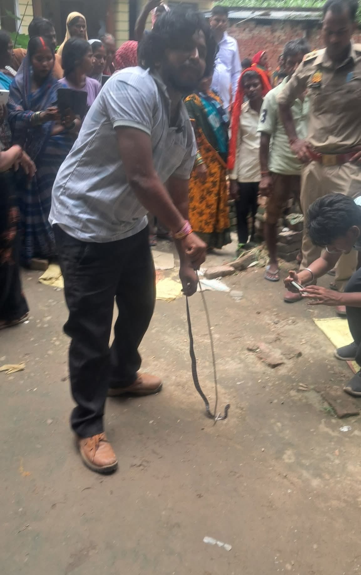 नरही गांव में सांप को पकड़ता वन कर्मी।वीडियो ग्रैब
