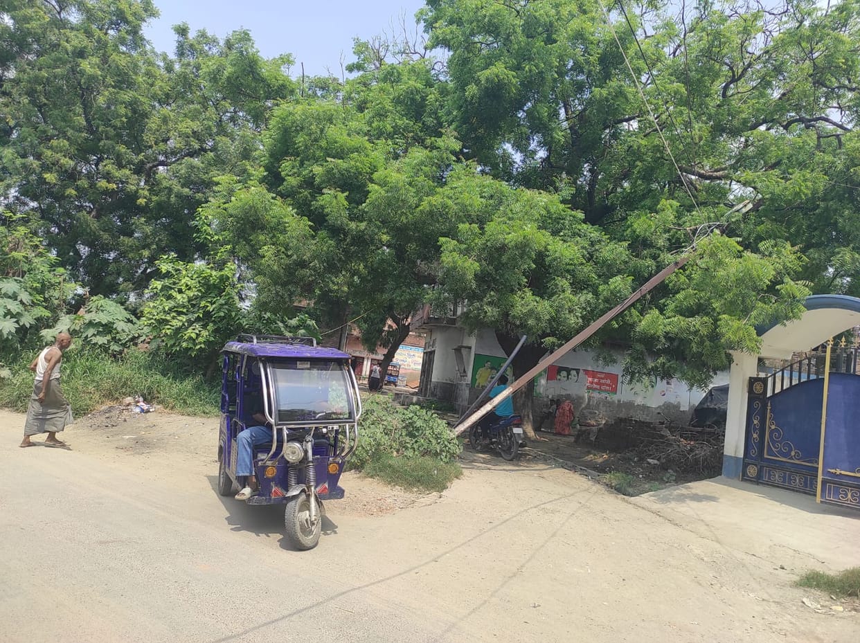 Broken electric pole hanging from a tree; live current running through it.