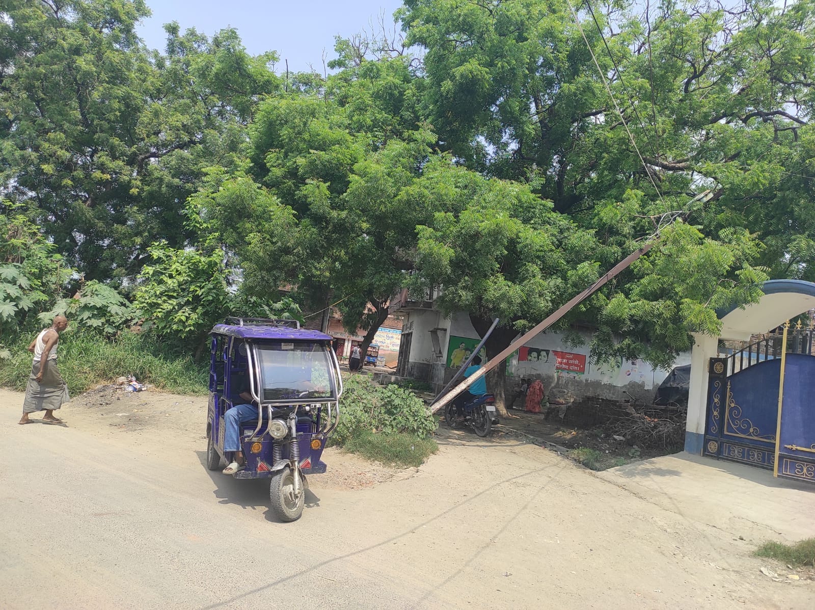 पंदह क्षेत्र के जिगीरसंड स्थित सिद्धेश्वरनाथ मंदिर के पास पेड़ पर गिर विद्युत खंभा।संवाद
