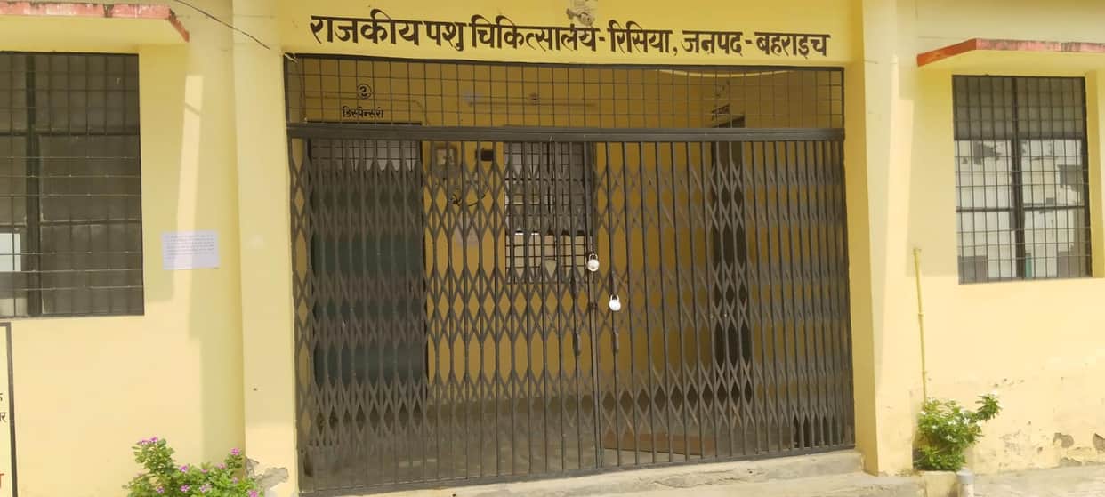 35 veterinary hospitals, 28 veterinarians; medical facilities in poor condition.