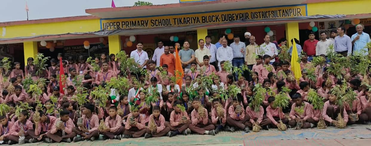 Saplings distributed under the 'A Tree in Mother's Name' campaign