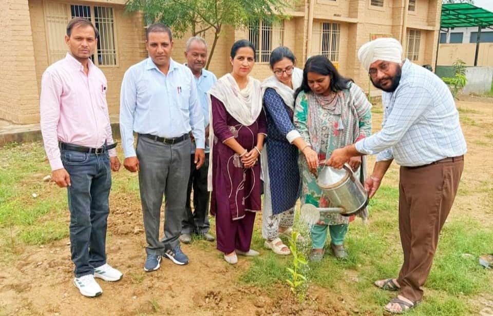 Saplings planted in secondary school Sarawan