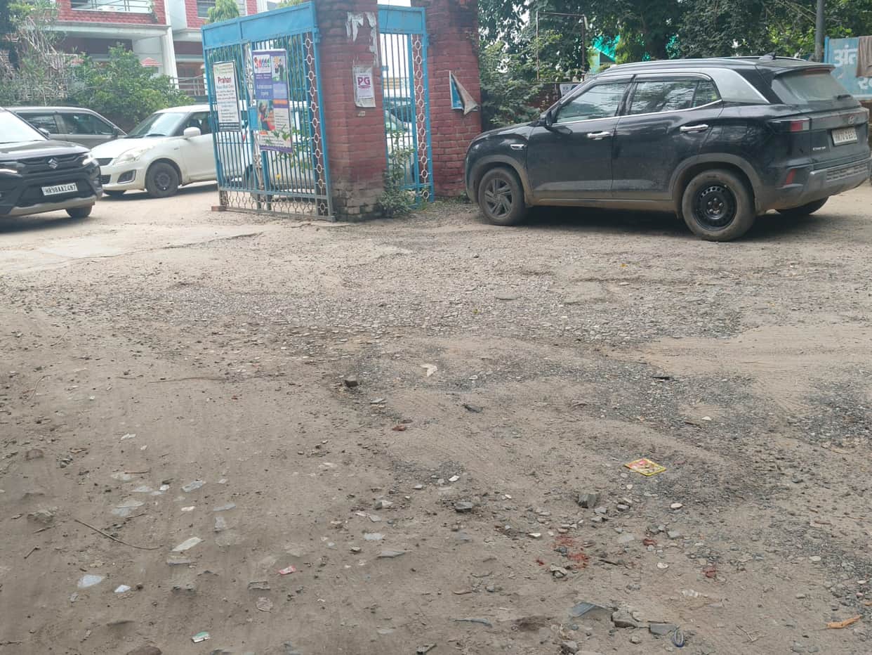 When will there be relief from waterlogging, broken roads, stray animals, and parking issues?