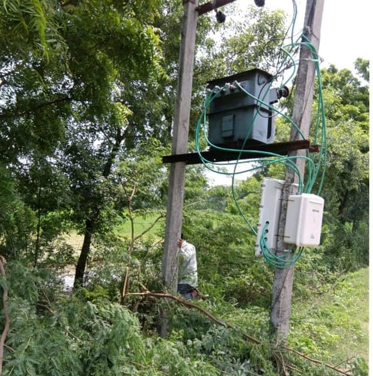 Power cuts amidst the humidity have made life miserable