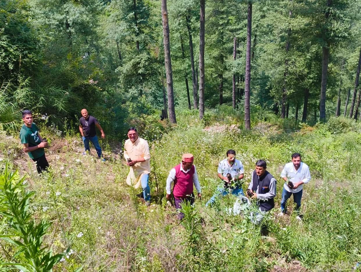 BJYM launched a tree plantation drive