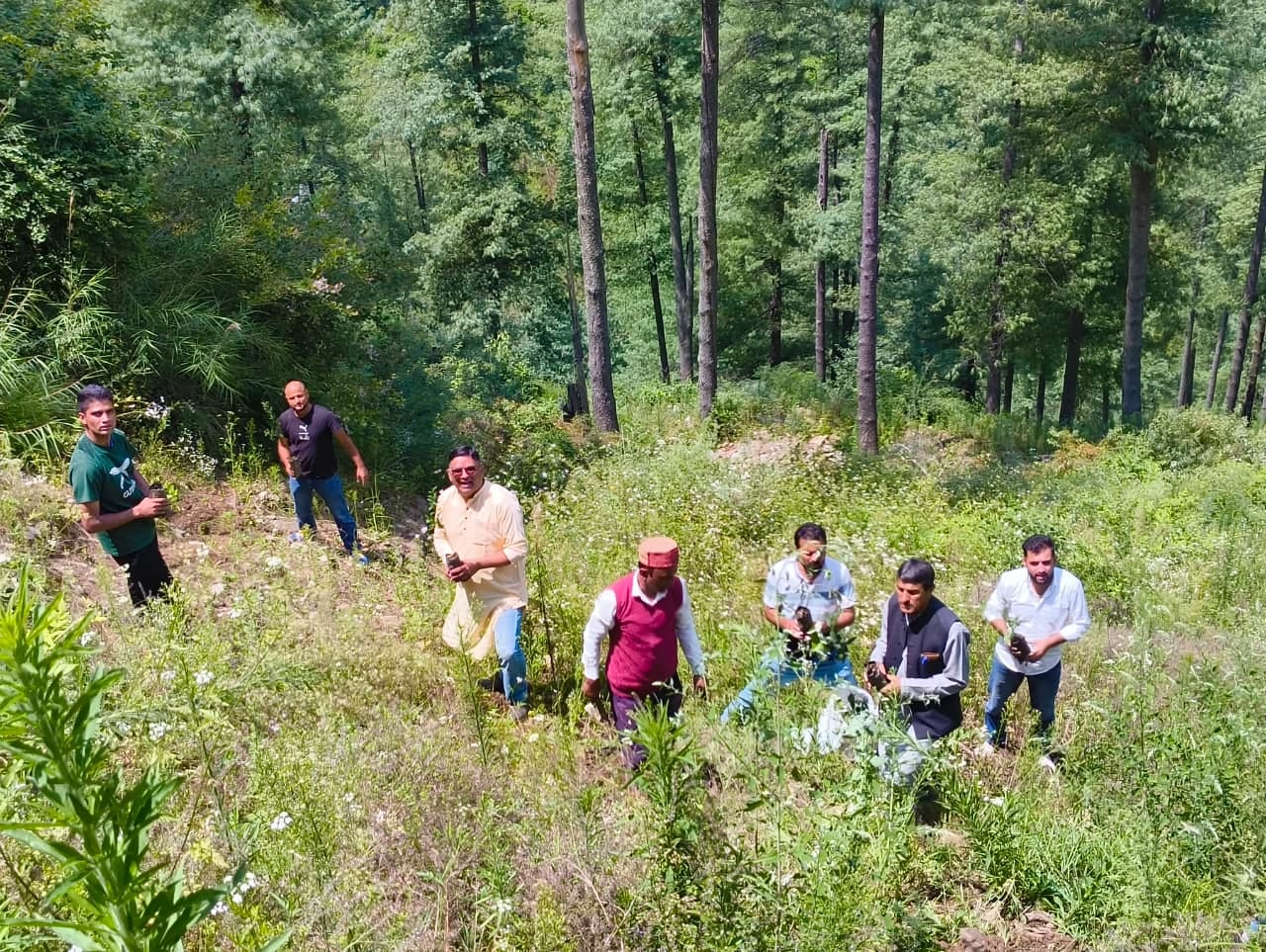 भारतीय जनता युवा मोर्चा कोटखाई-नावर मंडल की ओर से टाहू-कथान्डी पंचायत के अंतर्गत अमर नगर वन क्ष