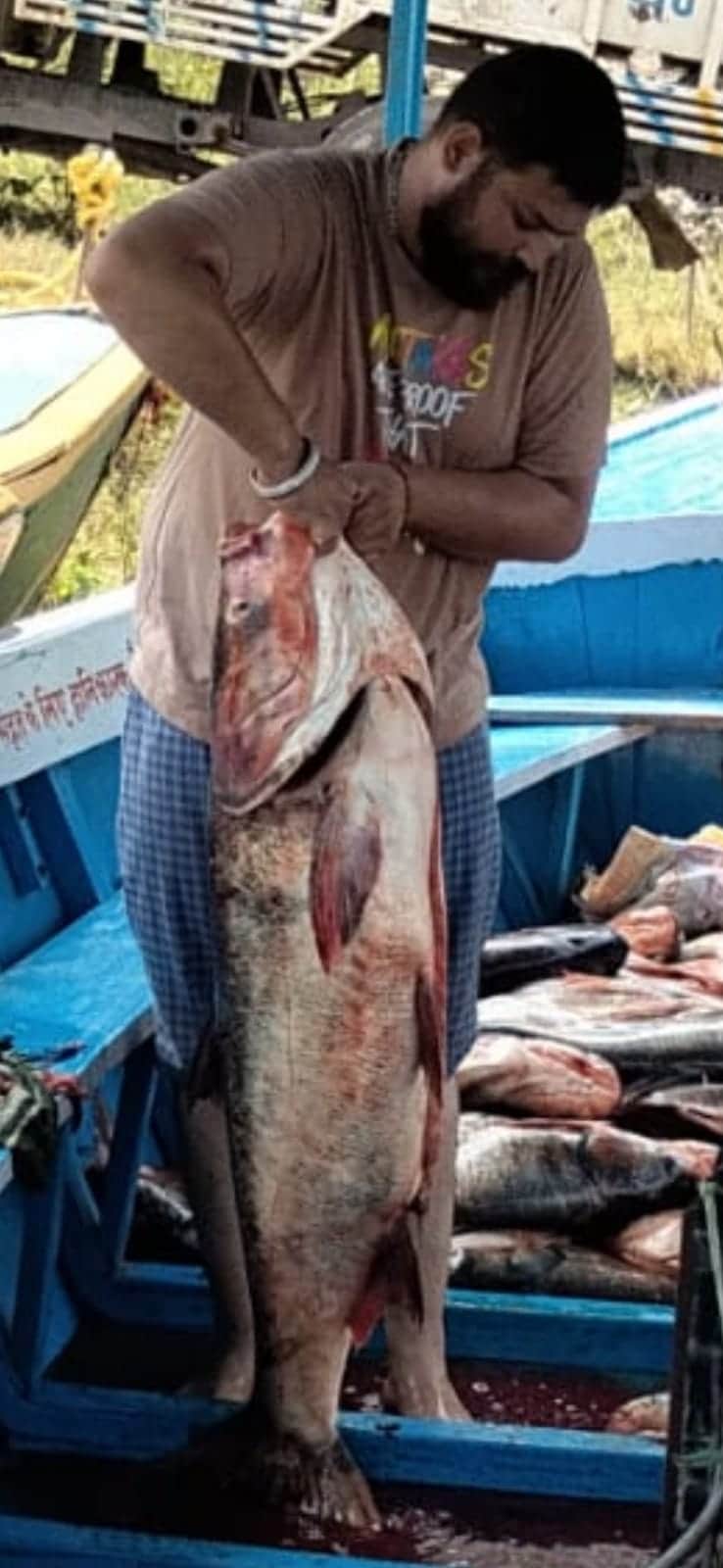 On the very first day of the season, 46.37 metric tonnes of fish were caught from the reservoirs.