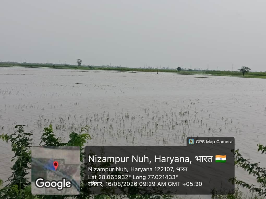 Fields waterlogged for 3 years; farmers unable to grow crop