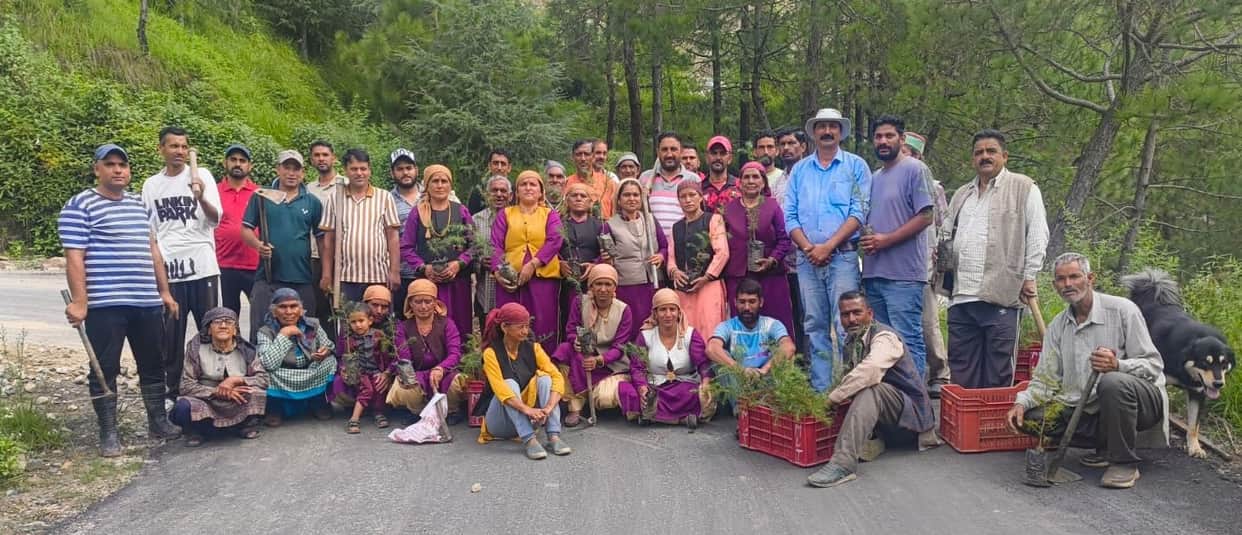 Conveyed the message of environmental conservation