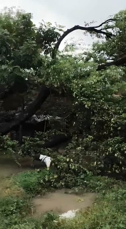 सम्मनपुर के रुकुंदीपुर गांव में रविवार दोपहर करीब दो बजे बारिश के दौरान प्रताप राजभर के घर के प