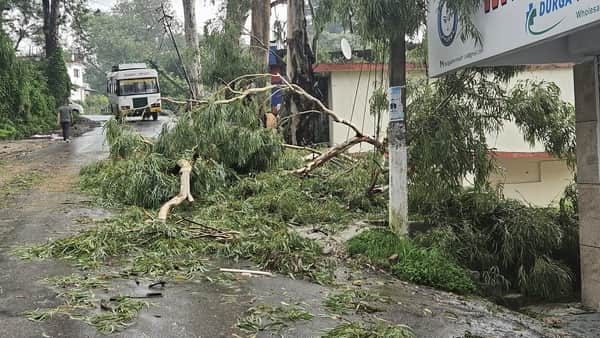 Trees fell on the road; both power supply and traffic movement were disrupted.