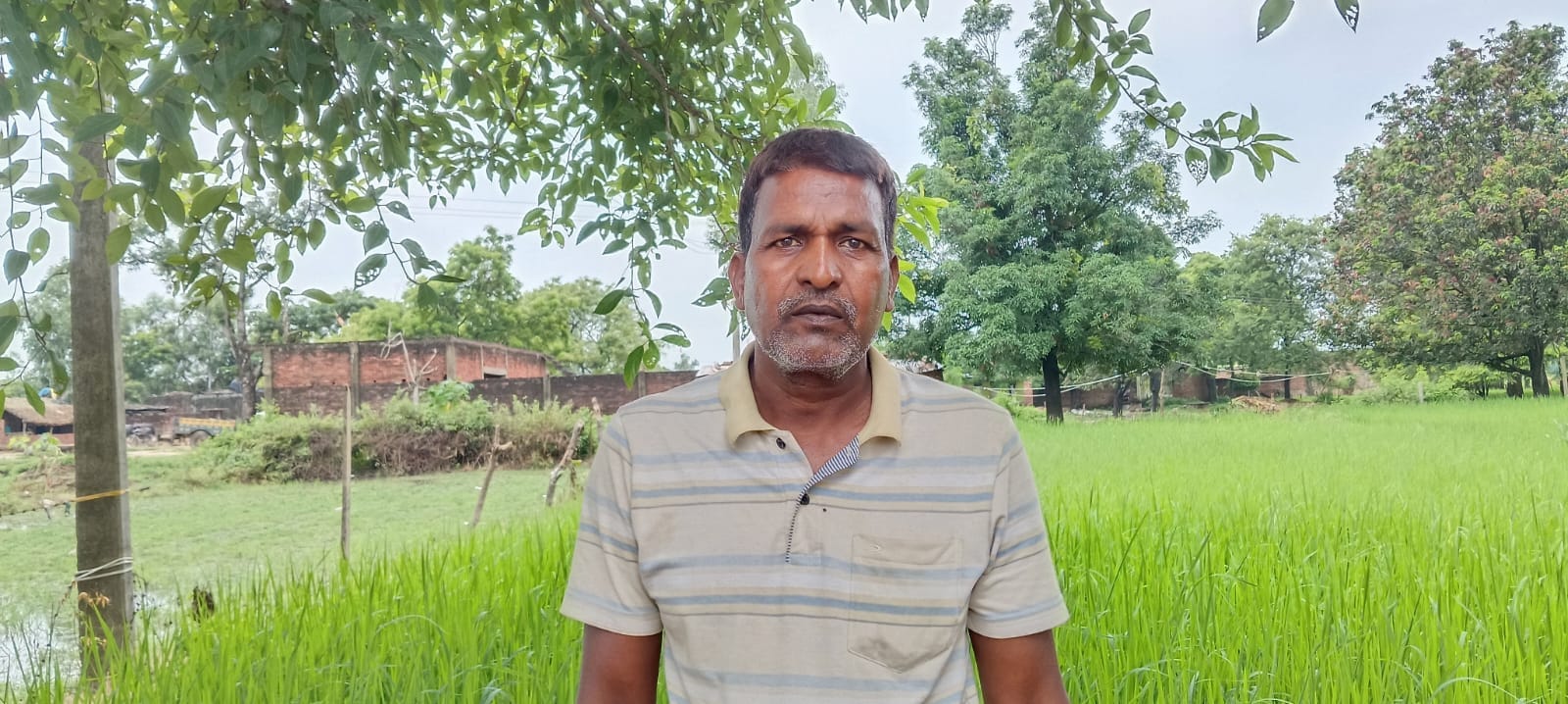 धान की फसल में भरा पानी