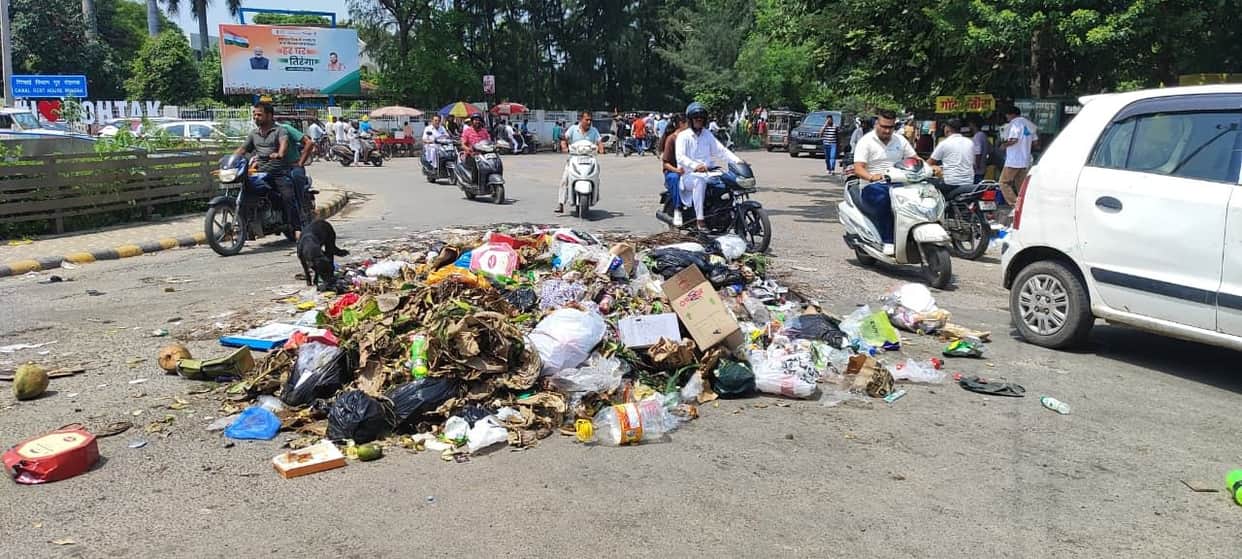 City roads turn into dumping grounds; foul odor poses health hazard.