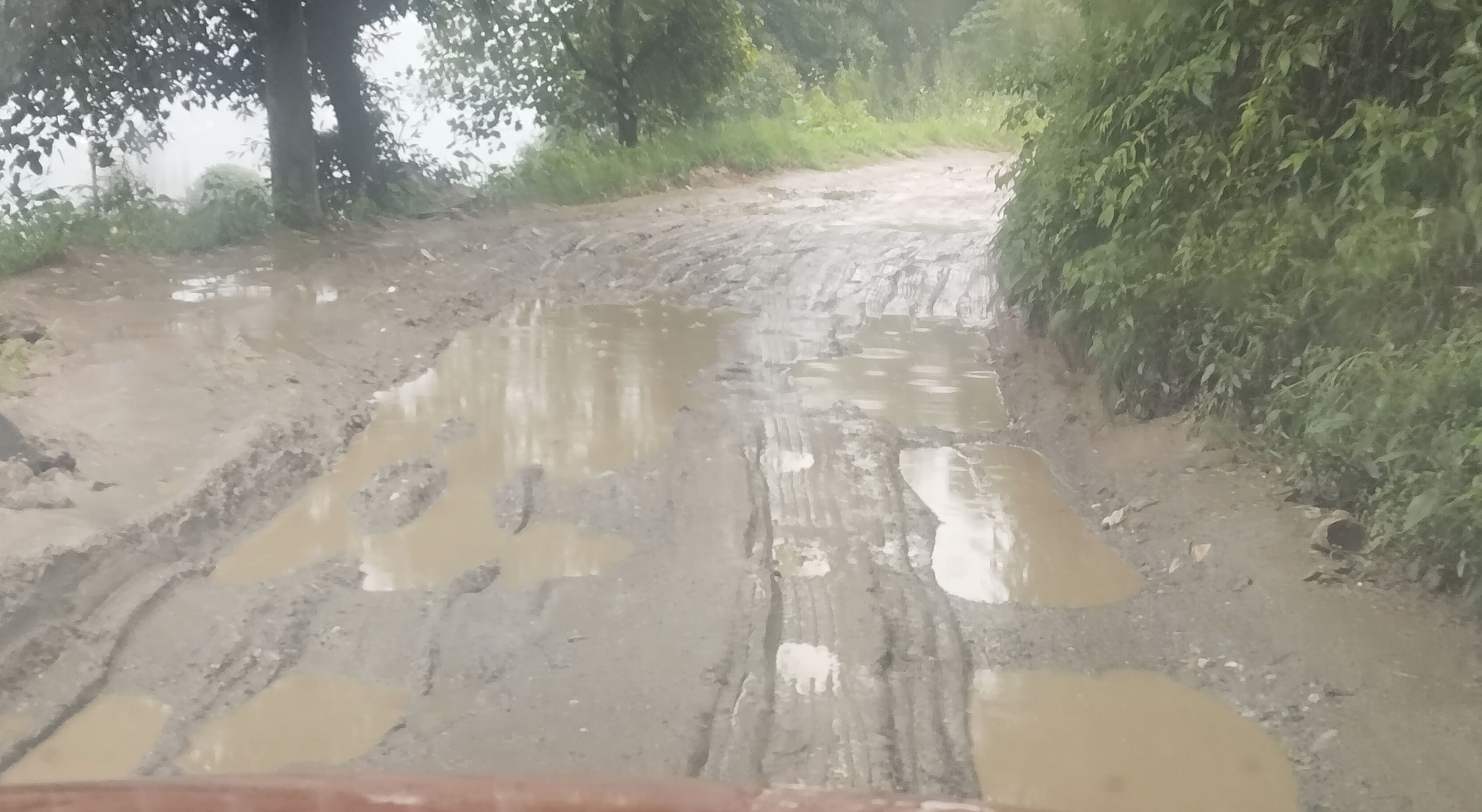आनी उपमंडल की कुंगश-कराणा सडक़ दलदल में तब्दील।